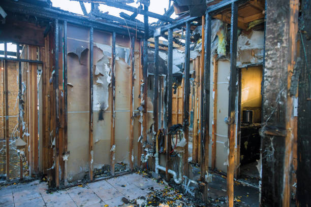 Professional Fire Damage Removal technician working in Canyon Lake, CA